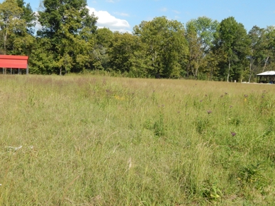 For Sale: 2± Acres on the Buffalo River – Waynesboro, TN - image 9
