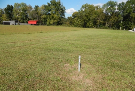 For Sale: 2± Acres on the Buffalo River – Waynesboro, TN - image 5