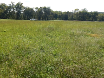 For Sale: 2± Acres on the Buffalo River – Waynesboro, TN - image 20