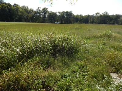 For Sale: 2± Acres on the Buffalo River – Waynesboro, TN - image 17