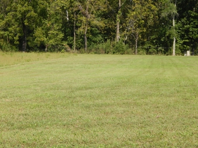 For Sale: 2± Acres on the Buffalo River – Waynesboro, TN - image 4