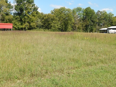 For Sale: 2± Acres on the Buffalo River – Waynesboro, TN - image 7