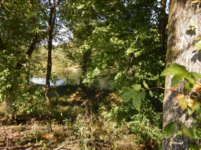 For Sale: 2± Acres on the Buffalo River – Waynesboro, TN - image 18