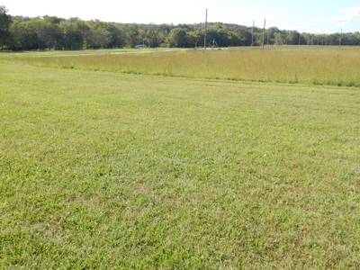 For Sale: 2± Acres on the Buffalo River – Waynesboro, TN - image 11