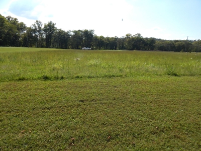 For Sale: 2± Acres on the Buffalo River – Waynesboro, TN - image 16