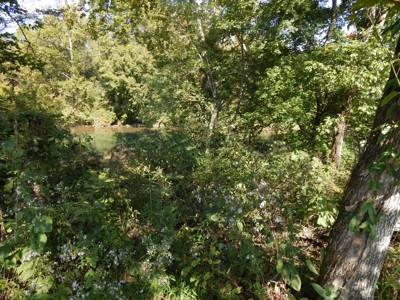 For Sale: 2± Acres on the Buffalo River – Waynesboro, TN - image 21