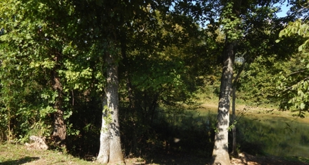 For Sale: 2± Acres on the Buffalo River – Waynesboro, TN - image 13