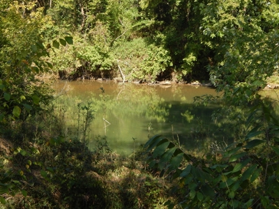 For Sale: 2± Acres on the Buffalo River – Waynesboro, TN - image 15