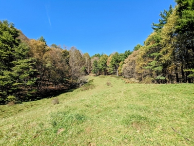 Country Home with Acreage for Sale in Meadows of Dan VA - image 11