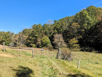 Country Home with Acreage for Sale in Meadows of Dan VA - image 8