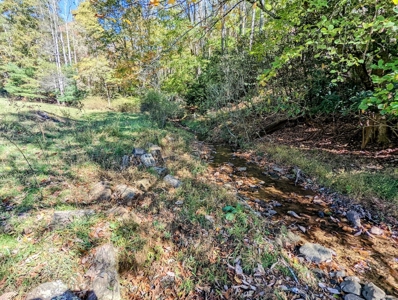 Country Home with Acreage for Sale in Meadows of Dan VA - image 42