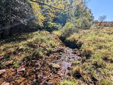 Country Home with Acreage for Sale in Meadows of Dan VA - image 41