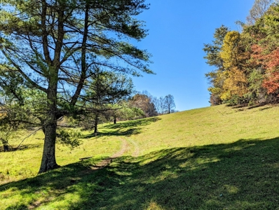 Country Home with Acreage for Sale in Meadows of Dan VA - image 9
