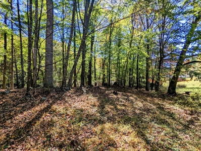 Country Home with Acreage for Sale in Meadows of Dan VA - image 18