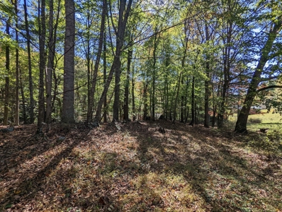 Country Home with Acreage for Sale in Meadows of Dan VA - image 17