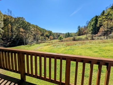Country Home with Acreage for Sale in Meadows of Dan VA - image 39