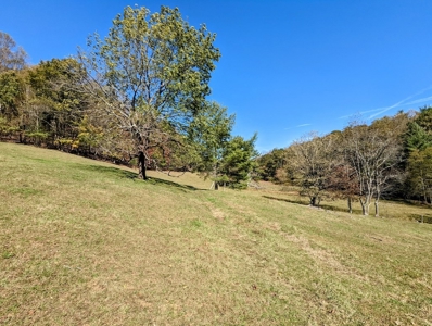 Country Home with Acreage for Sale in Meadows of Dan VA - image 7