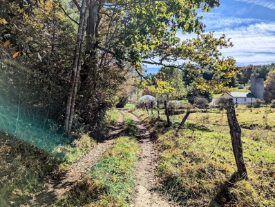 Country Home with Acreage for Sale in Meadows of Dan VA - image 2