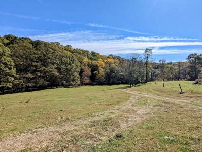 Country Home with Acreage for Sale in Meadows of Dan VA - image 6