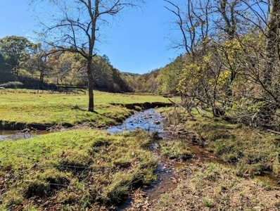 Country Home with Acreage for Sale in Meadows of Dan VA - image 3