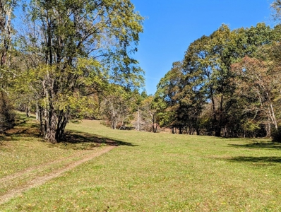 Country Home with Acreage for Sale in Meadows of Dan VA - image 4