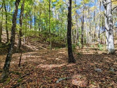 Country Home with Acreage for Sale in Meadows of Dan VA - image 20
