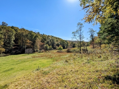 Country Home with Acreage for Sale in Meadows of Dan VA - image 24