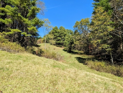 Country Home with Acreage for Sale in Meadows of Dan VA - image 22