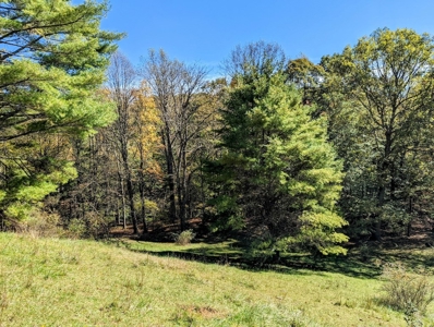 Country Home with Acreage for Sale in Meadows of Dan VA - image 14