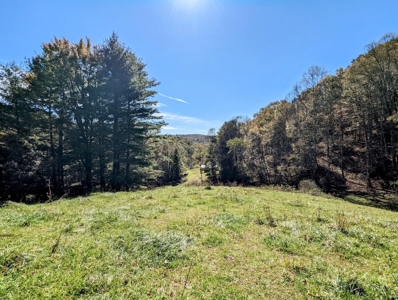 Country Home with Acreage for Sale in Meadows of Dan VA - image 12