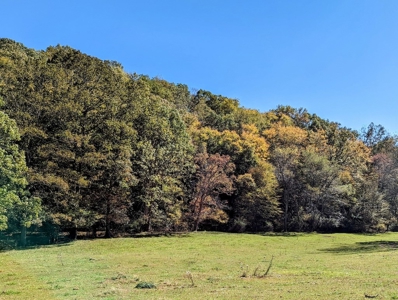 Country Home with Acreage for Sale in Meadows of Dan VA - image 1