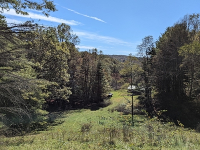 Country Home with Acreage for Sale in Meadows of Dan VA - image 13
