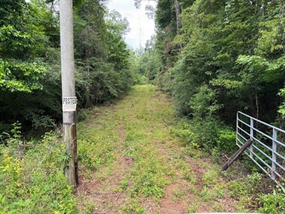 16.14 Acres Tangipahoa River Frontage in SW MS - image 2