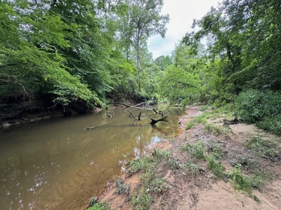 16.14 Acres Tangipahoa River Frontage in SW MS - image 7