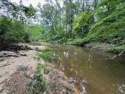 16.14 Acres Tangipahoa River Frontage in SW MS - image 1