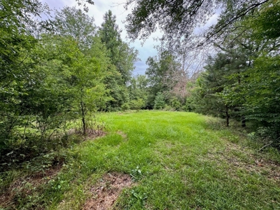 16.14 Acres Tangipahoa River Frontage in SW MS - image 8