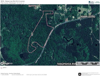 16.14 Acres Tangipahoa River Frontage in SW MS - image 13