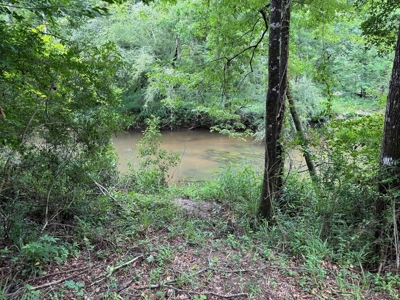 16.14 Acres Tangipahoa River Frontage in SW MS - image 3