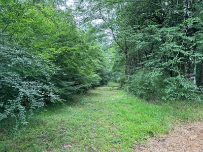 16.14 Acres Tangipahoa River Frontage in SW MS - image 9