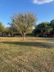 WATERFRONT lots on Nueces River, Texas, Calallen - image 5