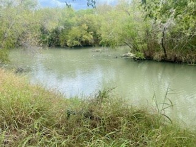 WATERFRONT lots on Nueces River, Texas, Calallen - image 7