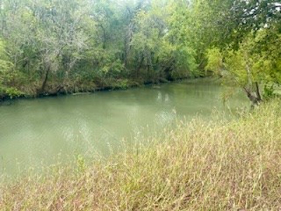 WATERFRONT lots on Nueces River, Texas, Calallen - image 6