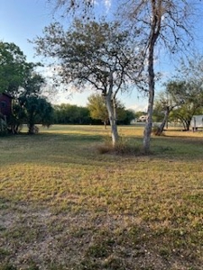 WATERFRONT lots on Nueces River, Texas, Calallen - image 3