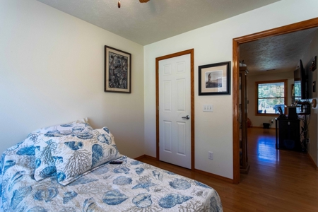 Country Home with Acreage For Sale in Hardy, AR - image 24