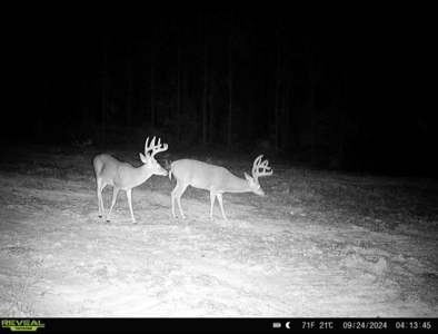 Turnkey Hunting Property Connected to Caston Creek WMA - image 27
