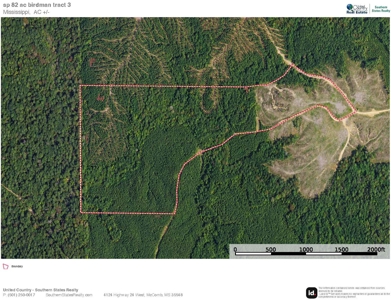 Turnkey Hunting Property Connected to Caston Creek WMA - image 33