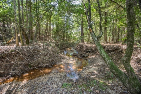 Turnkey Hunting Property Connected to Caston Creek WMA - image 2