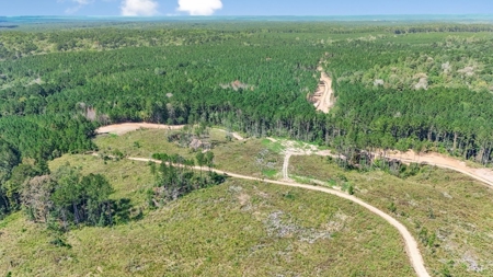 Turnkey Hunting Property Connected to Caston Creek WMA - image 17