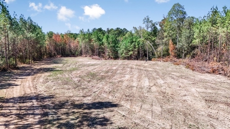 Turnkey Hunting Property Connected to Caston Creek WMA - image 20