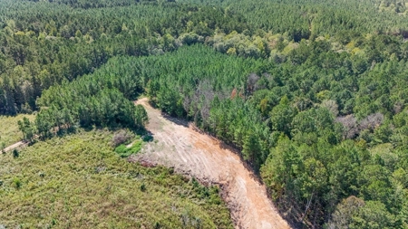 Turnkey Hunting Property Connected to Caston Creek WMA - image 19